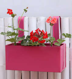 Pots & Planters