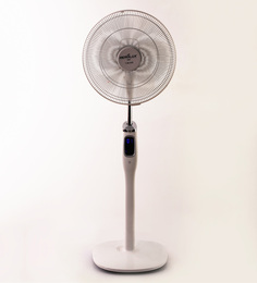 Pedestal fans